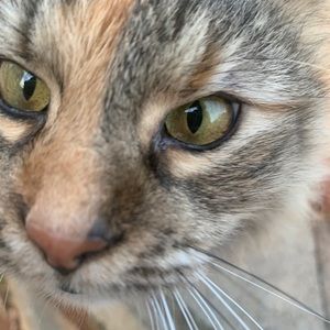 Meet your Posher, Ivana